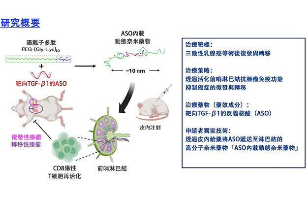 東京大學與iCONM開發出可將核酸藥物送達至前哨淋巴結的奈米機器，阻止癌症轉移