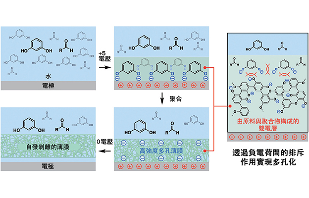 東京大學開發出超輕堅韌的「人工丝瓜络」，利用負電荷排斥反應構築立體網狀結構