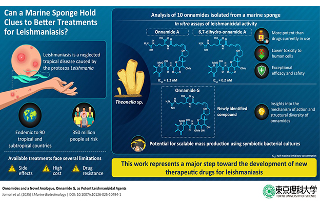東京理科大學、琉球大學等從沖繩海綿動物中成功分離出強效抗利什曼原蟲活性化合物，有望成為利什曼病新型治療藥候選物質