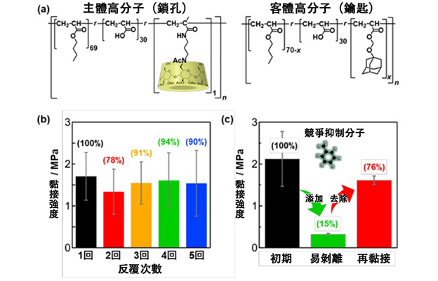 大阪大學利用中子闡明界面結構，開發出「粘著牢固但可剝離」的黏合劑