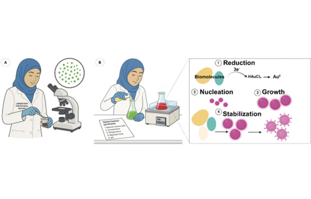 大阪大學等確立使用微藻的環保金奈米粒子合成法，無需有害藥品一步即可合成