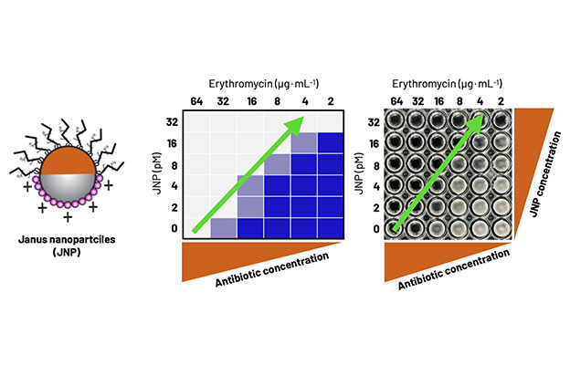 大阪大學產研等利用新開發的雅努斯奈米顆粒恢復抗菌藥效，有望解決耐藥菌難題