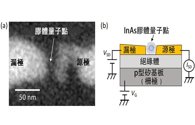 日本東北工業大學實現單膠質量子點自旋控制，有望應用於電子器件