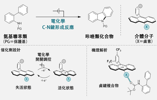 橫濱國立大等研發出新型電化學開關型催化分子，實現質子與電子的協同遷移