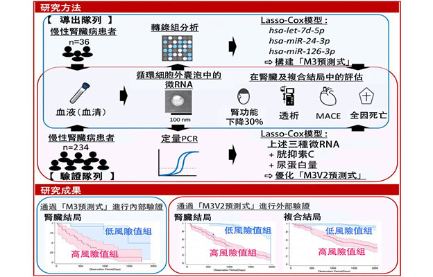 東京科學大學開發出以微RNA含量為指標的慢性腎病與心血管並發症的風險預測新技術