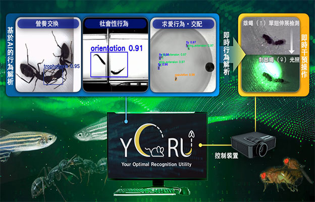 名古屋大學開發AI工具，解析生物複雜行為