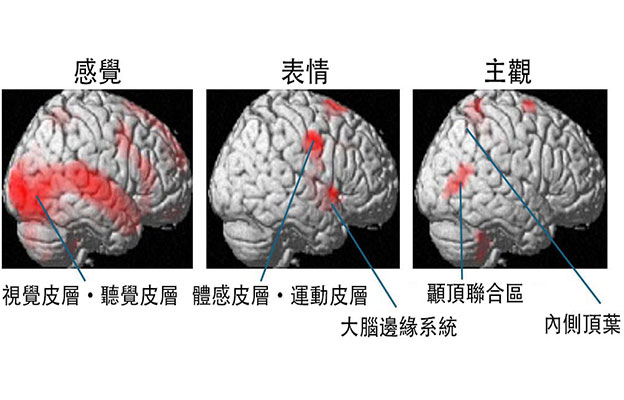 理研：不是「因快樂而笑」而是「因為笑所以快樂」