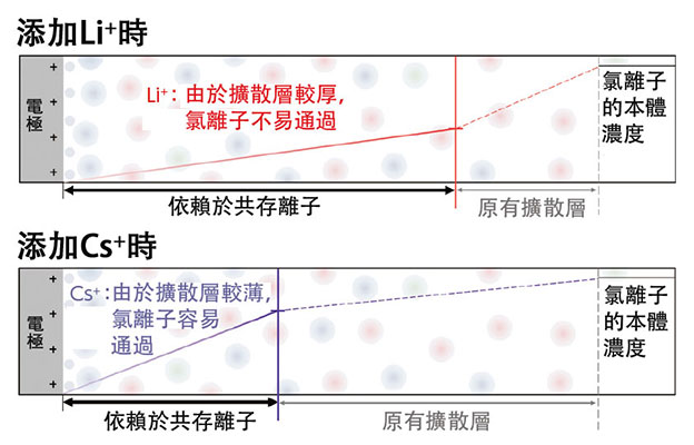 理研：有效抑制水電解產生的氯氣，新型擴散層有望減少離子電極到達量