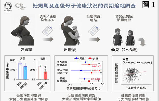 東北大學：母親圍產期抑鬱對子女行為特徵的影響存在性別差異，女童較為顯著