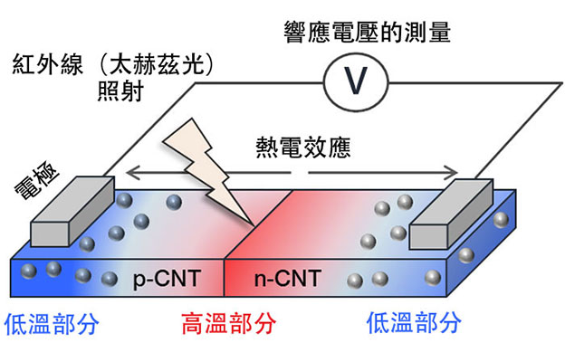 京都工藝纖維大學等開發出基於半導體奈米碳管的無需冷卻高靈敏度紅外感測器，實現內部結構的非破壞性觀察