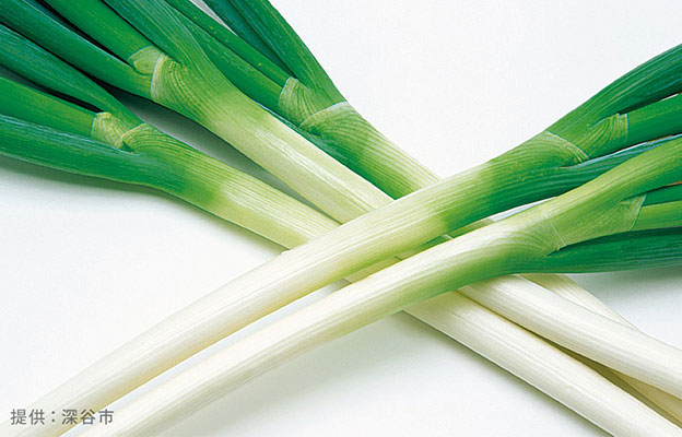 埼玉工業大學用深谷蔥製造塑膠產品，升級廢棄物回收提振農戶活力