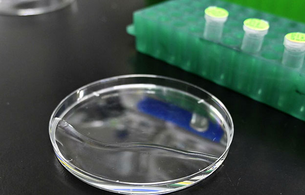 日本團隊發現能加快生物鐘的化合物 有望消除時差反應