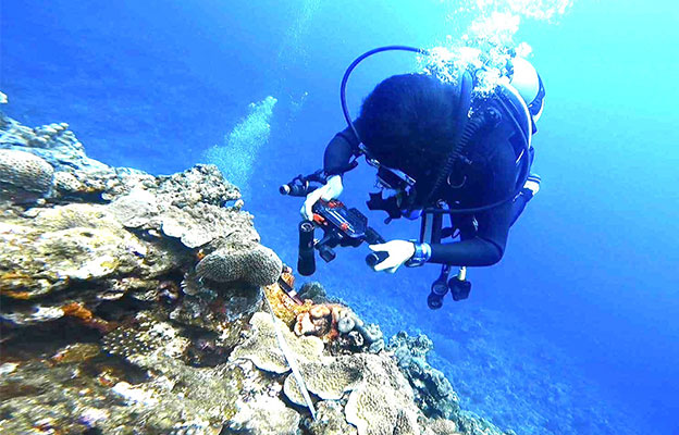 琉球大學等開發出珊瑚礁生態系統評價新方法，確認多種小型底棲生物棲息