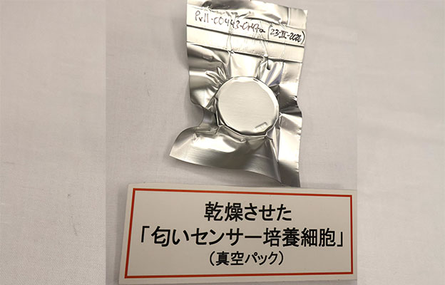 日本農研機構成功製備出可常溫乾燥保存的氣味感測器培養細胞