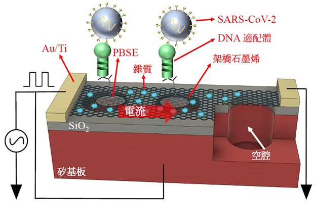豐橋技科大、產綜研、東洋大學合作開發出IoT生物感測器，同時測量病毒的「質量」與「個數」