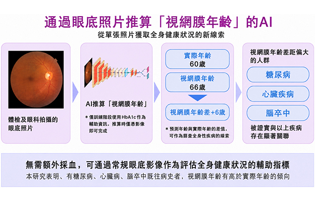 日本東北大學的AI技術，僅用一張眼底照片即可推算出反映身體年齡的「視網膜年齡」