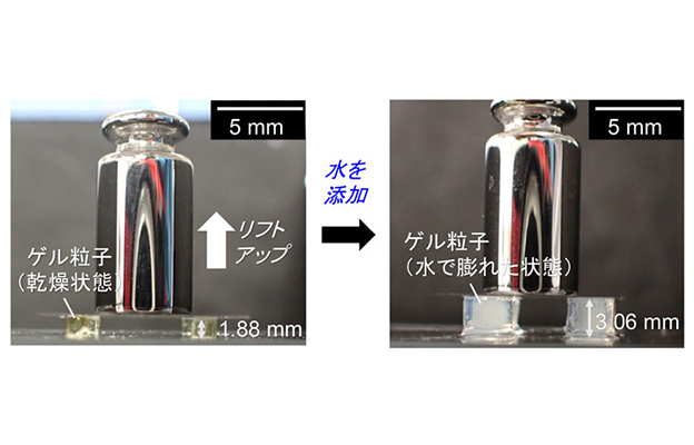 大阪工業大學開發出遇水膨脹能「舉重」的立方體聚合體凝膠粒子