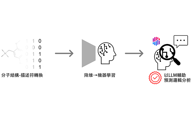 九州大學製成陰離子交換膜材料圖譜，聯用兩種無監督機器學習技術