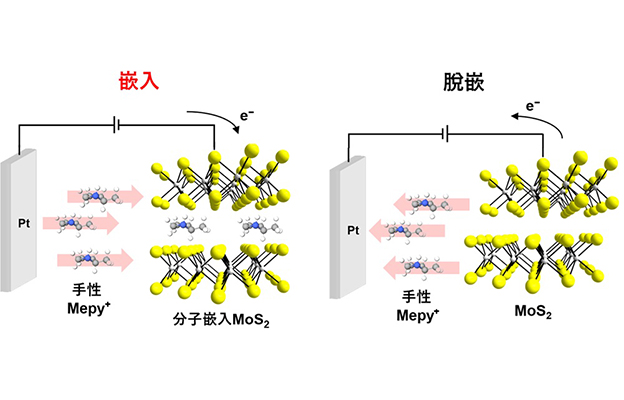東京科學大學成功實現層狀半導體電化學寫入，證實手性介導的自旋極化可逆切換