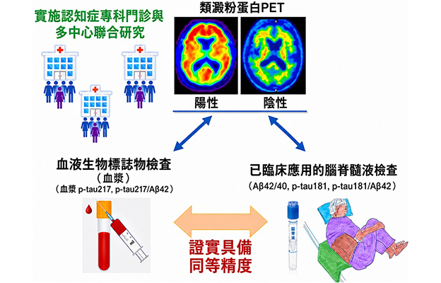 新潟大學等證實血液標誌物「p-tau217」可高精度檢測腦內β澱粉樣蛋白蓄積，為低侵襲、高效率的阿茲海默症診斷開闢道路