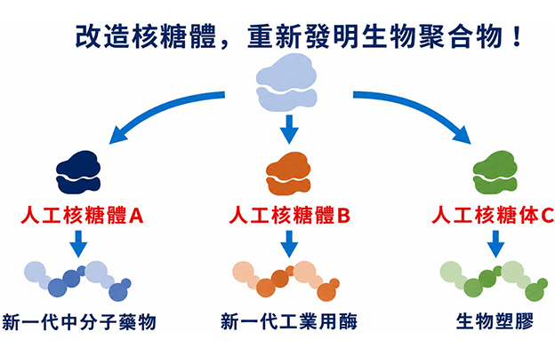 【JST事業成果】在試管內成功合成核糖體，有望用於開發有用物質
