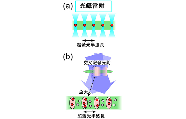 茨城大學與青山學院大學開發出無需諧振器即可調控光傳播模式的新方法，向探明超熒光量子性大幅邁進
