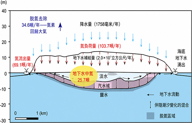 熊本大與地球研：地下淡水層可淨化約三分之一地表氮污染，定量評估自然淨化能力
