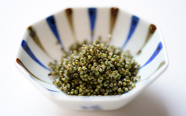 近畿大學等確認秋田縣特產「噸布里」具有抗肥胖效果，可抑制膳食脂肪吸收