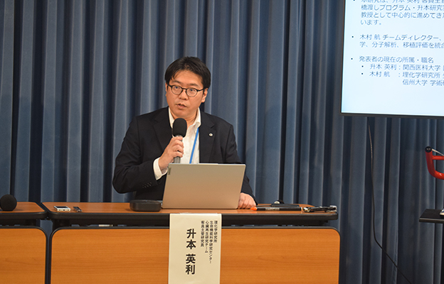 理研通過加壓培養實現iPS心肌組織的成熟，有望應用於再生醫療