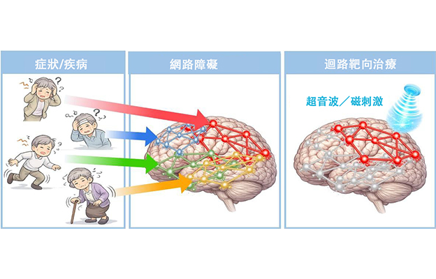 QST闡明tau蛋白病變通過腦回路引發認知症狀，有望實現失智症預測與靶向迴路治療