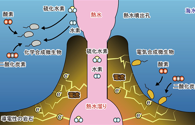 深海熱液噴口附近的微生物通過「電合成」而非「光合作用」實現增殖