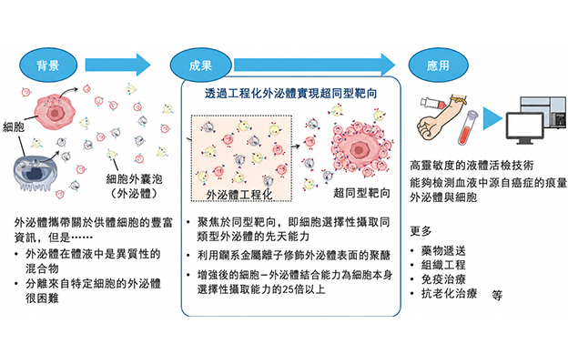 東京大學開發特定外泌體分選技術，有望用於癌症檢測、藥物遞送及抗衰老治療