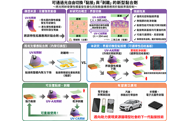 大阪大學開發出光照即可輕鬆剝離的黏合劑，僅對選定區域改變力學特性