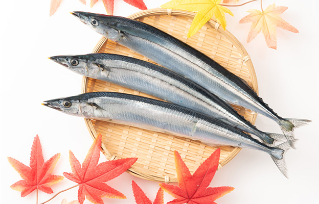 日本獸醫生命科學大學在秋刀魚肝臟中發現新種寄生蟲，對人類無影響