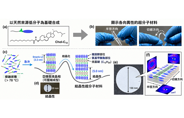 京都大學利用低分子化合物開發出結晶性超分子材料，有望助力下一代材料研發