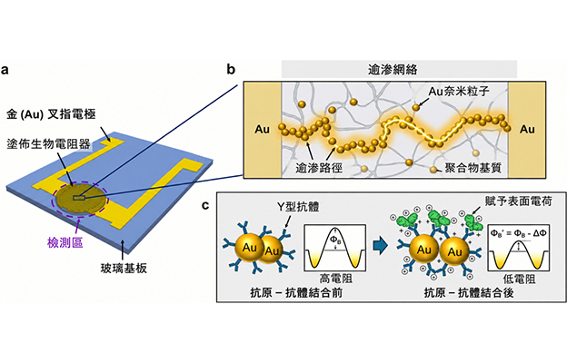 日本東北大學開發出基於新原理的生物感測器，僅需約30秒即可測定靶蛋白濃度