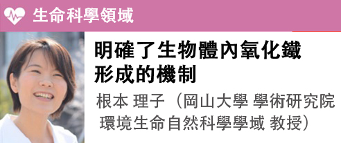 根本 理子