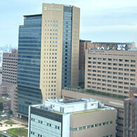 第二批「國際卓越大學」遴選結果——東京科學大學內定，京都大學1年後，東京大學繼續審覈