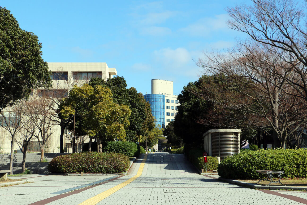 日本的資料科學教育政策與和歌山大學的資料智慧教育研究部門