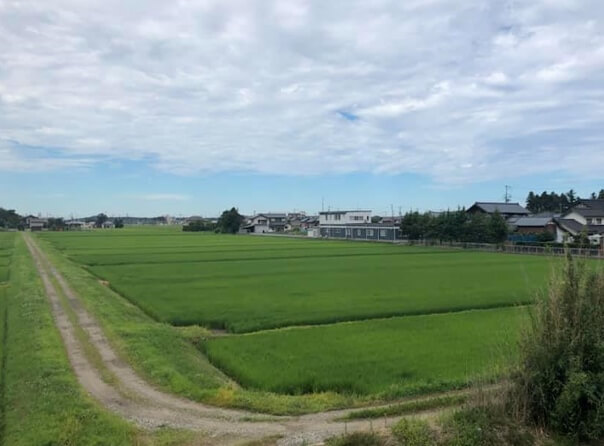 一汁山菜 招人氣，山川河流海洋田野環繞的小旅館