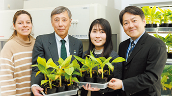 【創新日本走訪】（20）診斷感染香蕉的「鐮刀菌」， 力求防病害於未然，希望首先在秘魯普及