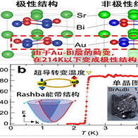 大阪大學等發現具有拓撲能帶結構的新階層超導物質SrAuBi