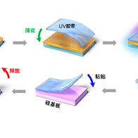 九州大學等在全球首次開發出石墨烯等在内的二維材料膠帶，可用膠帶輕鬆粘貼在基底層上