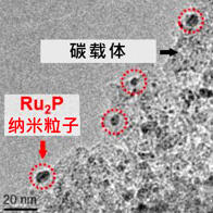 大阪大學成功開發具有高抗硫性的新型觸媒，有望消除觸媒毒性影響