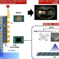 日本東北大學材料科學高等研究所利用鎂和紙張成功開發出了低環境負荷的新型電池，有望應用於可穿戴器件