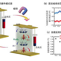 大阪大學和名古屋大學等成功利用電壓控制無磁性的反強磁性體自旋，控制效率是傳統材料的50倍