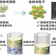 東京大學成功合成在溶液中也具有優秀催化反應能力的金奈米粒子，可保持一年不凝聚，有望應用於半導體領域