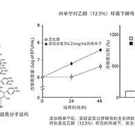 大阪公立大學發現柿子多酚可減量氧化壓力並改善酵母成長