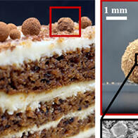 大阪工業大學、在酸性環境中破裂並釋放氣體的球泡與肉桂包裹的可食用球泡