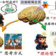 QST和京都大學在靈長類猴子身上發現兩種思維迴路